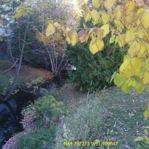 Meet your Posher, Michaela